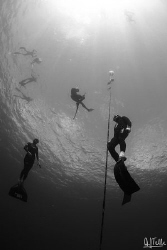 Freedivers training. These guys where going down to about... by Arthur Telle Thiemann 